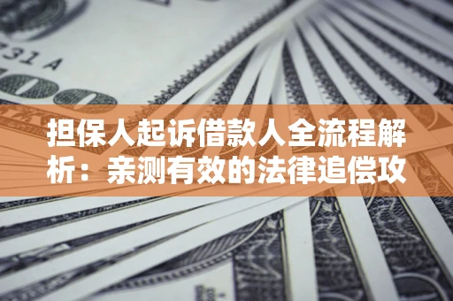 济南担保人起诉借款人全流程解析：亲测有效的法律追偿攻略