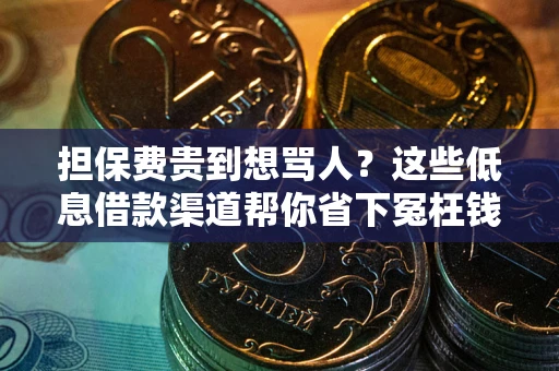 济南担保费贵到想骂人？这些低息借款渠道帮你省下冤枉钱