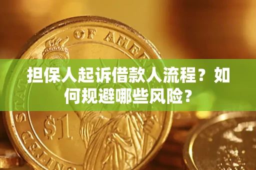 济南担保人起诉借款人流程？如何规避哪些风险？